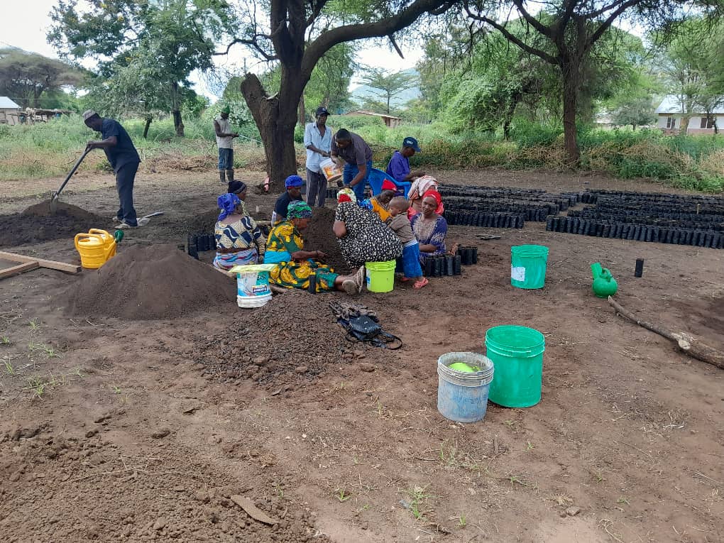 Setting up the first collective tree&nbsp;nursery