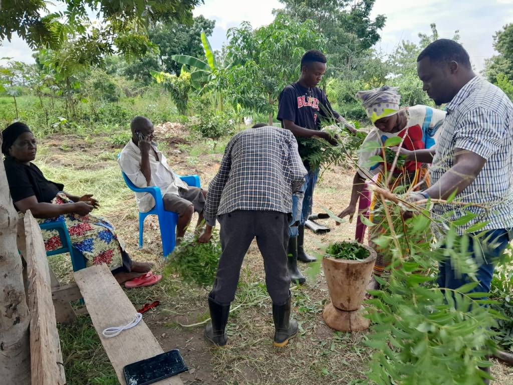 Organic pest management